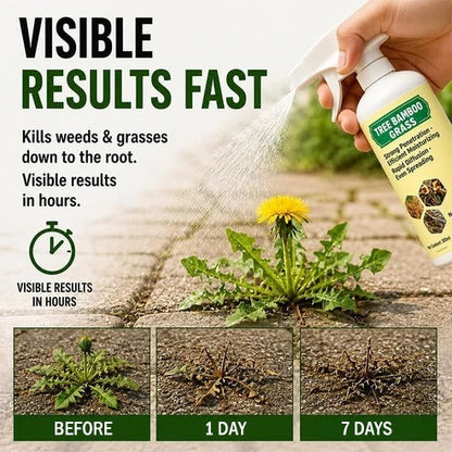✨2026 SALE - Fast-Acting Natural Weed & Grass Killer Spray