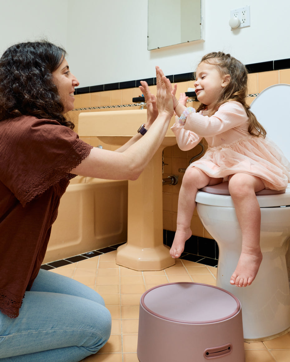 The 3-in-1 Potty